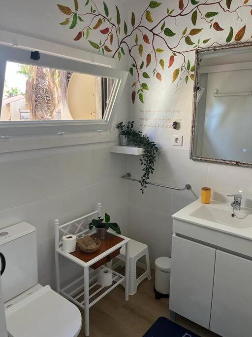 Casa Cactus Paraiso Parque Holandes 외부 사진