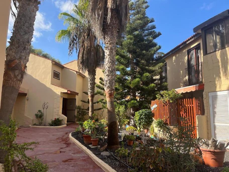 Casa Cactus Paraiso Parque Holandes 외부 사진