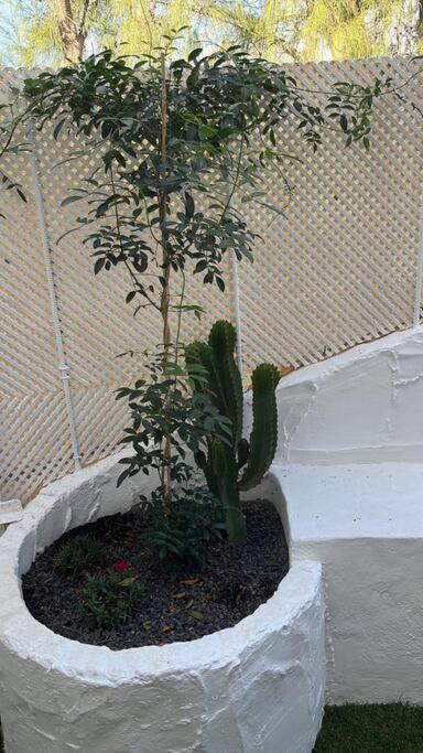 Casa Cactus Paraiso Parque Holandes 외부 사진