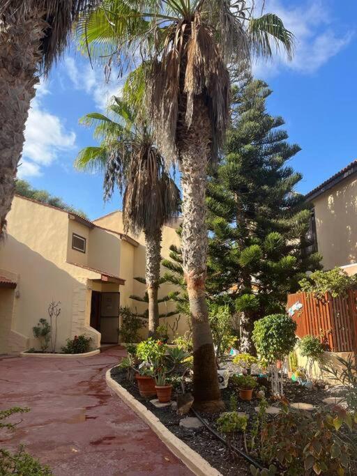 Casa Cactus Paraiso Parque Holandes 외부 사진