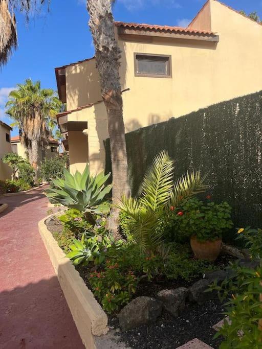 Casa Cactus Paraiso Parque Holandes 외부 사진