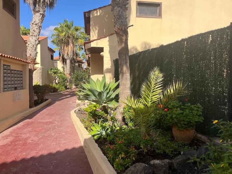 Casa Cactus Paraiso Parque Holandes 외부 사진