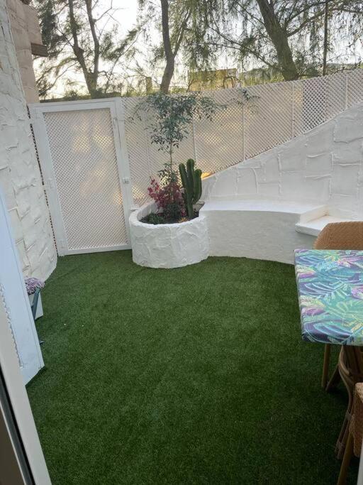 Casa Cactus Paraiso Parque Holandes 외부 사진