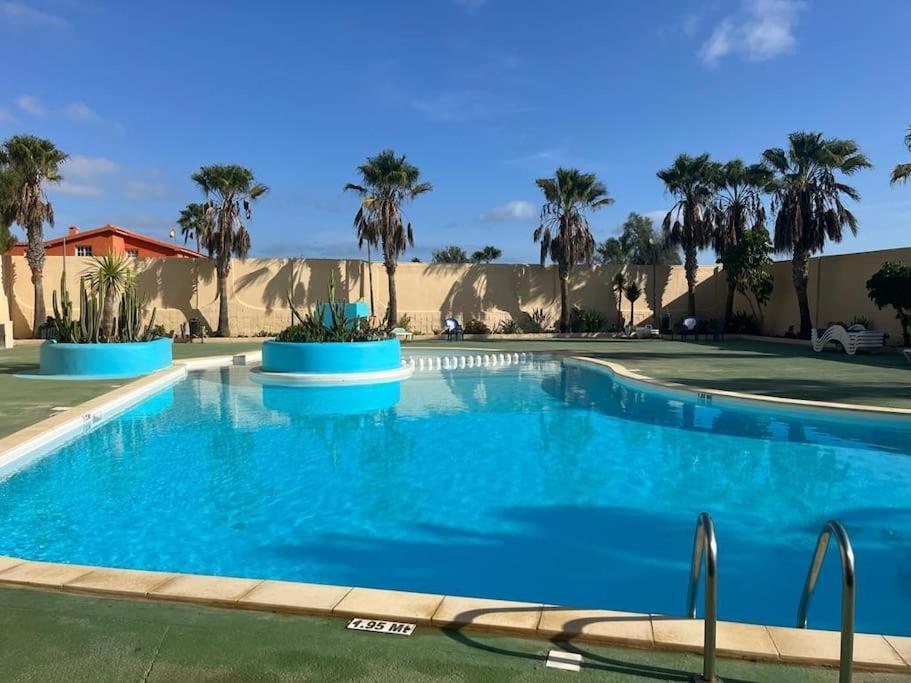Casa Cactus Paraiso Parque Holandes 외부 사진